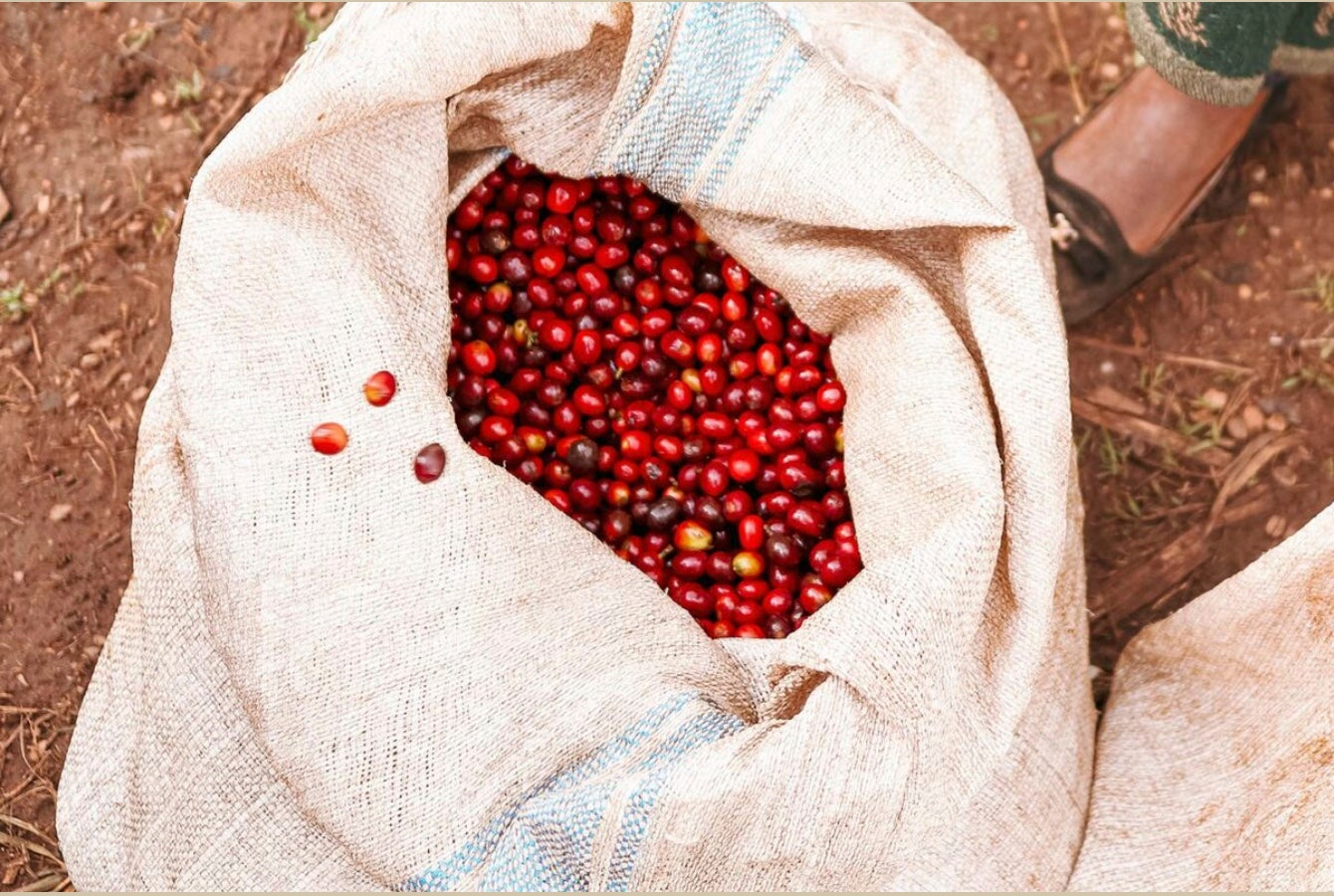 Proud to be a Certified B Corporation ®!