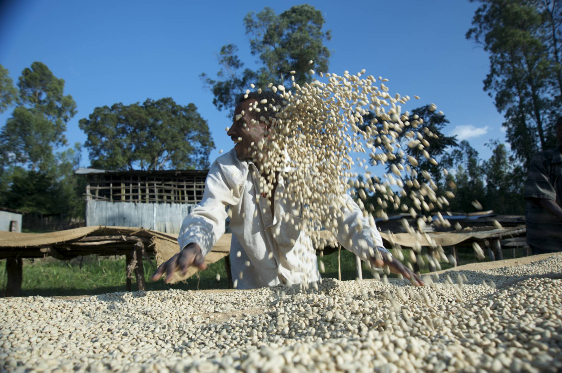 Why buying coffee requires more – and why that’s a good thing