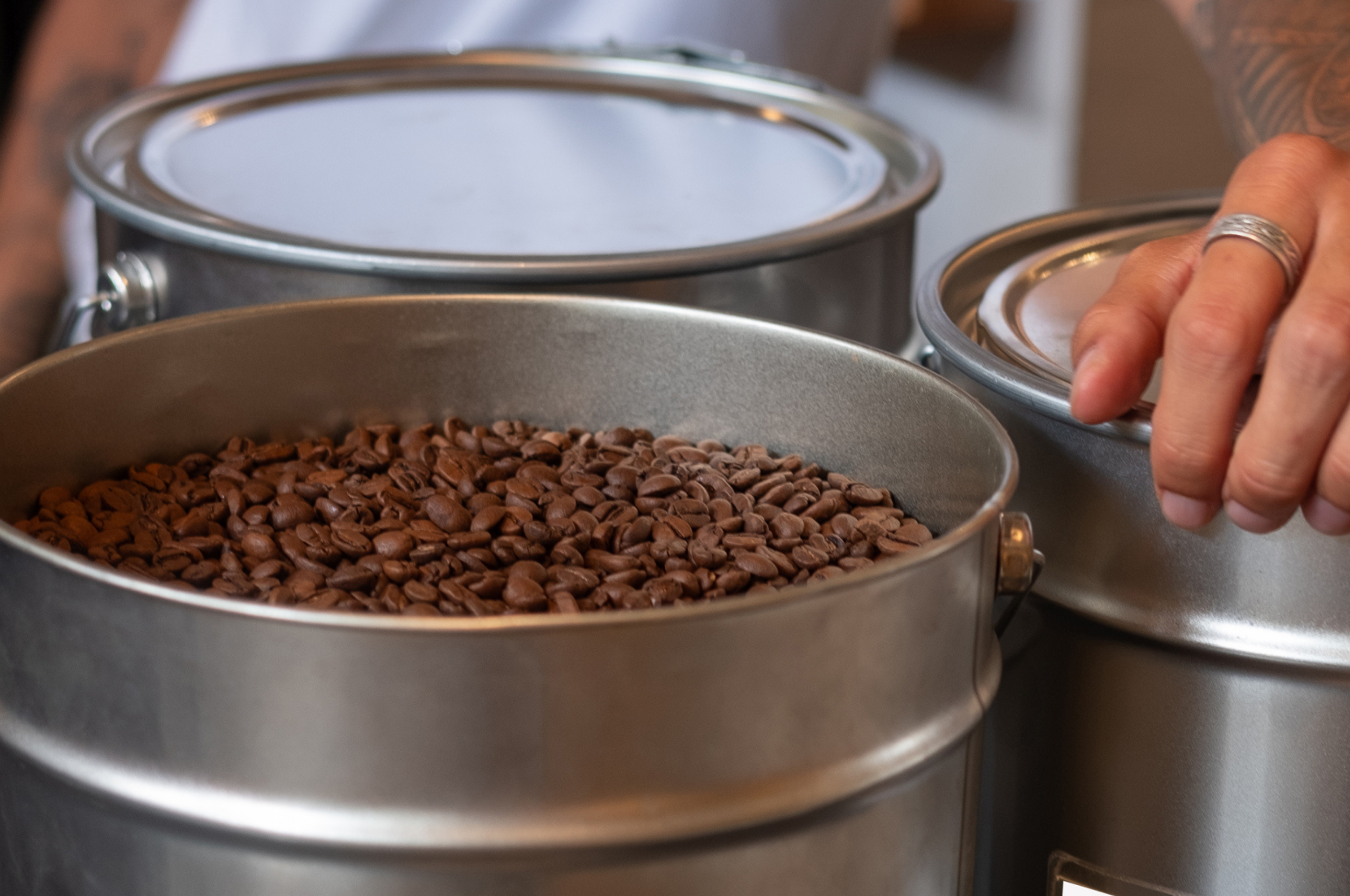 Light vs Dark Roast Coffee: what suits your taste?