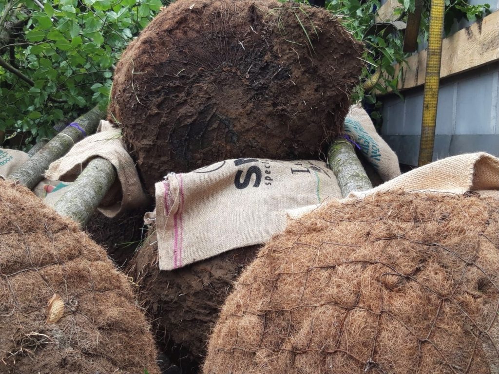 Tree-Nursery-2-1024x768-1