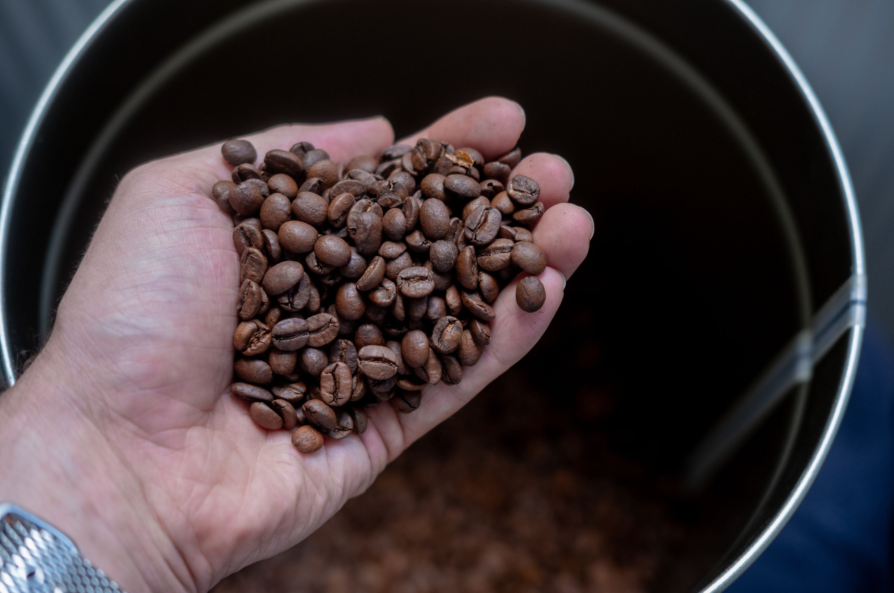 What is Specialty Coffee? And why it tastes different