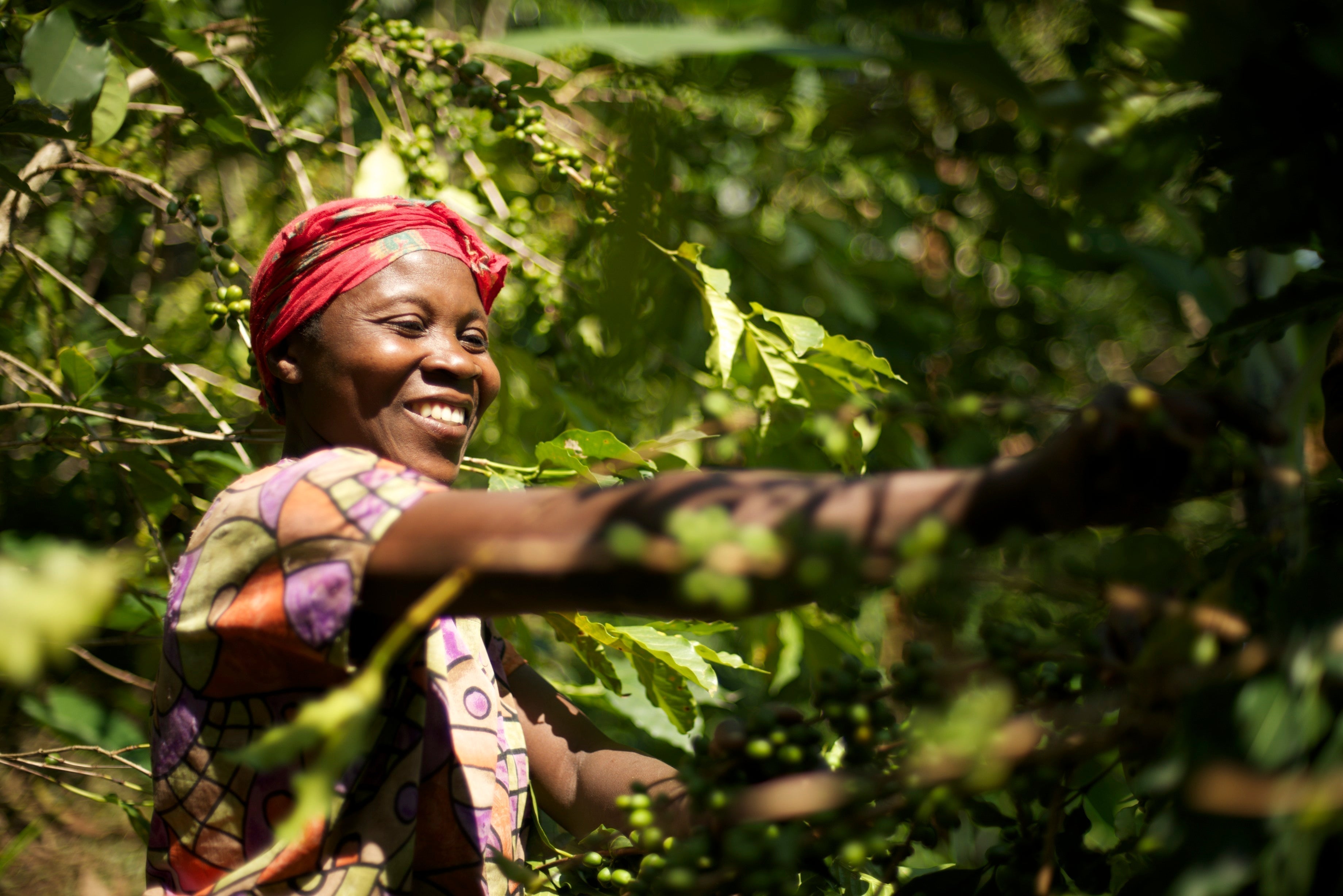 Why your cup of coffee costs a little more - And why that’s actually normal